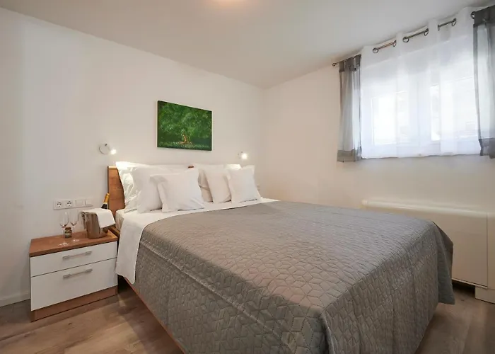 Laurus Trogir