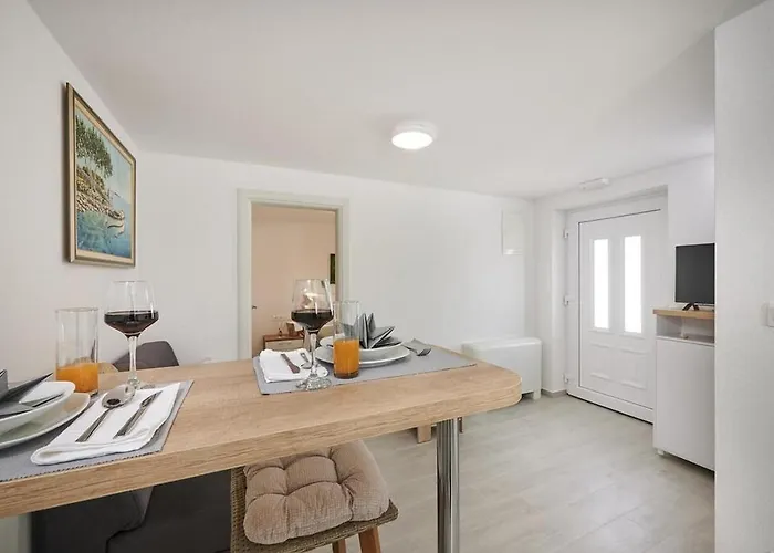 Laurus Trogir